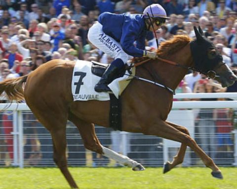 Quinté du dimanche 9 août 2026 à Deauville: les pronostics
