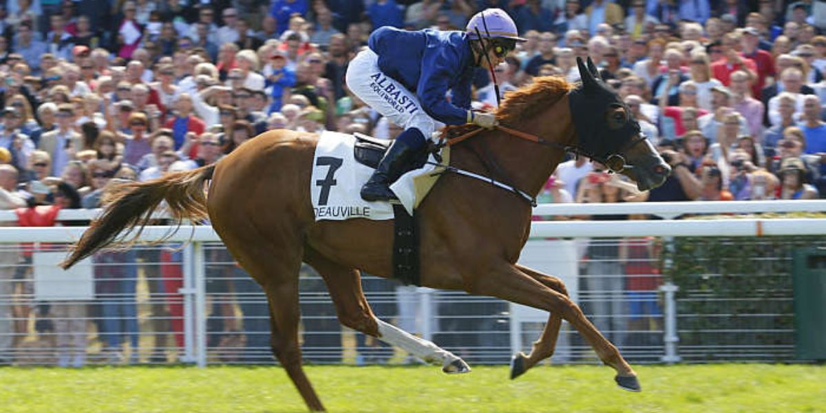 Quinté du dimanche 9 août 2026 à Deauville: les pronostics