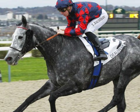 Quinté du mardi 11 août 2026 à Deauville: les pronostics