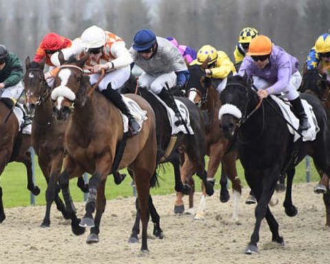 Quinté du jeudi 13 août 2026 à Deauville: les pronostics