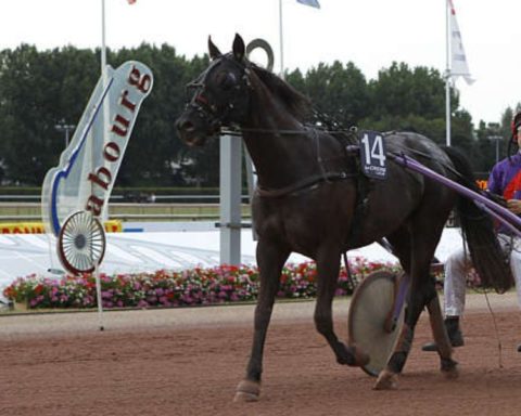 Quinté du vendredi 14 août 2026 à Cabourg: les pronostics