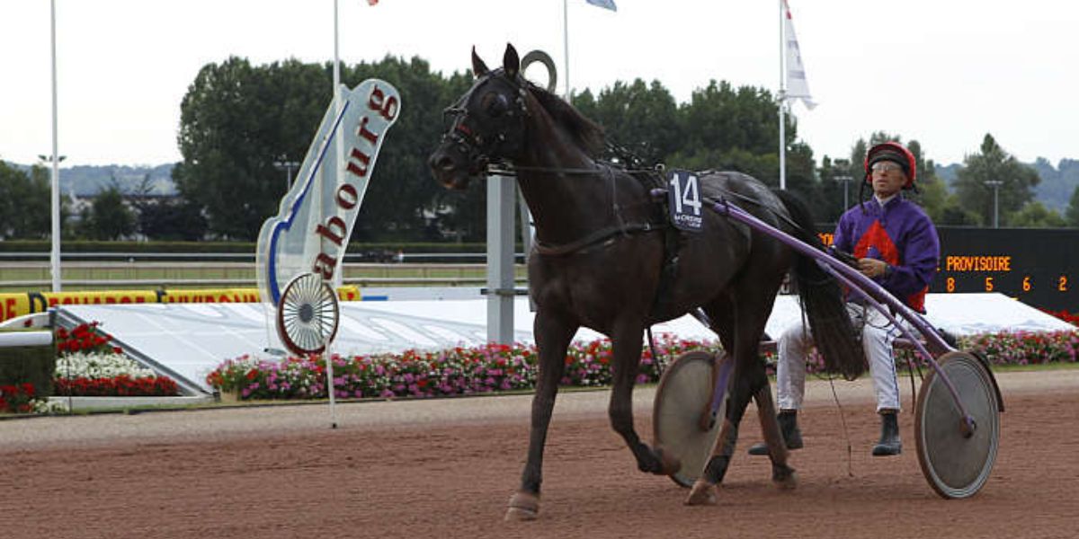 Quinté du vendredi 14 août 2026 à Cabourg: les pronostics