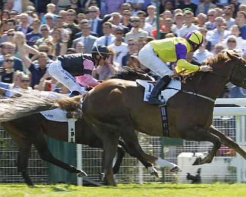 Quinté du samedi 15 août 2026 à Deauville: les pronostics
