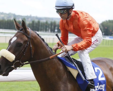 Quinté du mardi 18 août 2026 à Deauville: les pronostics