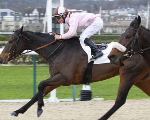 Quinté du jeudi 20 août 2026 à Deauville: les pronostics