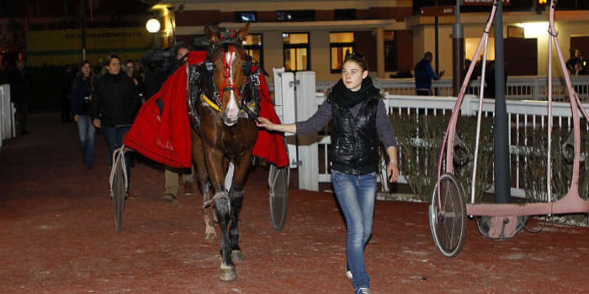 Quinté du vendredi 21 août 2026 à Cabourg: les pronostics