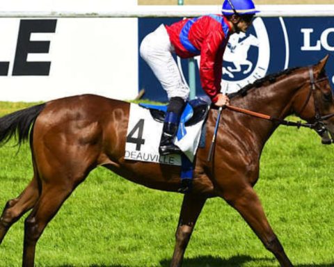 Quinté du samedi 22 août 2026 à Deauville: les pronostics