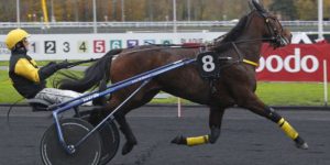 Quinté du lundi 24 août 2026 à Vincennes: les pronostics
