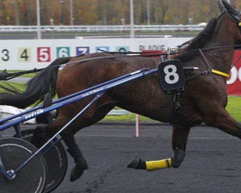 Quinté du lundi 24 août 2026 à Vincennes: les pronostics