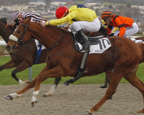 Quinté du mardi 25 août 2026 à Deauville: les pronostics