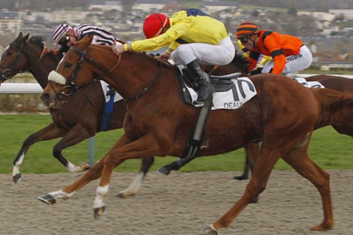 Quinté du mardi 25 août 2026 à Deauville: les pronostics