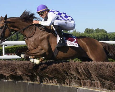 Quinté du mercredi 26 août 2026 à Clairefontaine: les pronostics