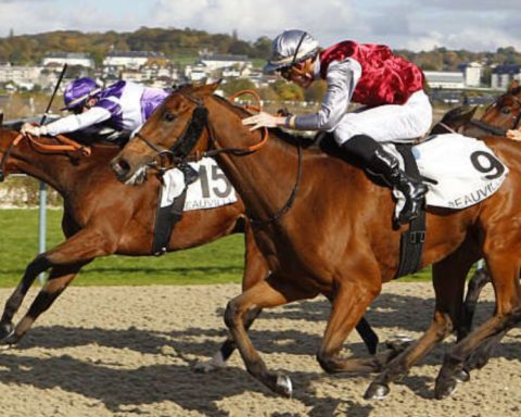 Quinté du jeudi 27 août 2026 à Deauville: les pronostics
