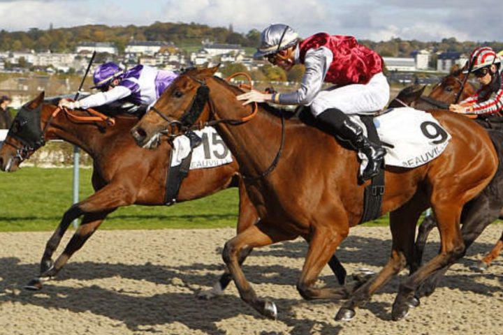 Quinté du jeudi 27 août 2026 à Deauville: les pronostics