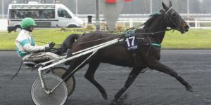 Quinté du samedi 29 août 2026 à Vincennes: les pronostics