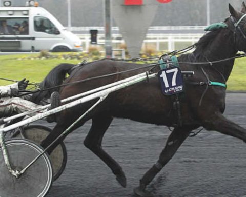 Quinté du samedi 29 août 2026 à Vincennes: les pronostics