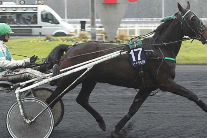 Quinté du samedi 29 août 2026 à Vincennes: les pronostics