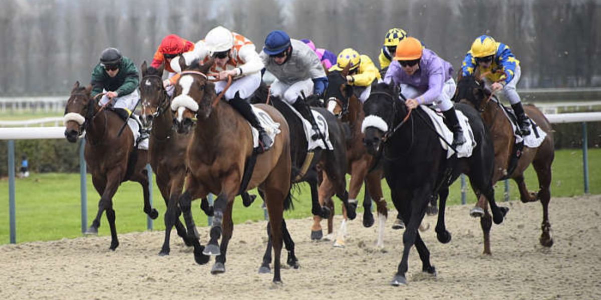 Quinté du dimanche 30 août 2026 à Deauville: les pronostics
