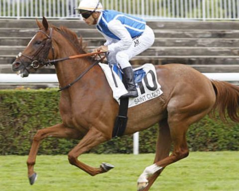 Quinté du lundi 31 août 2026 à Saint-Cloud: les pronostics