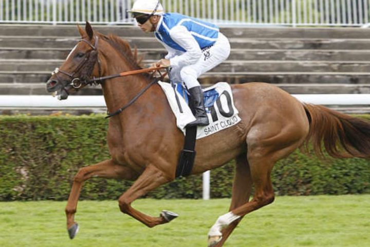 Quinté du lundi 31 août 2026 à Saint-Cloud: les pronostics