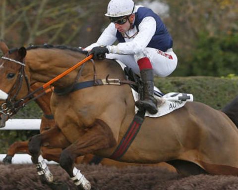 Quinté du jeudi 1er octobre 2026 à Auteuil: les pronostics