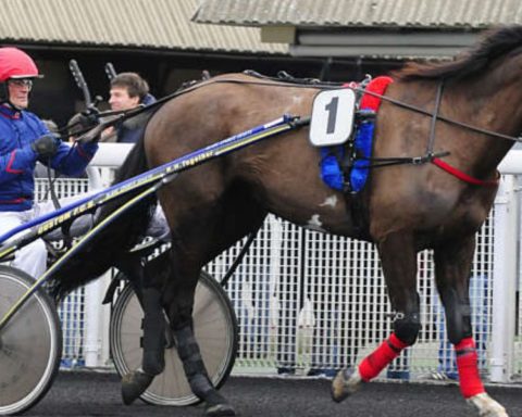 Quinté du vendredi 2 octobre 2026 à Vincennes: les pronostics