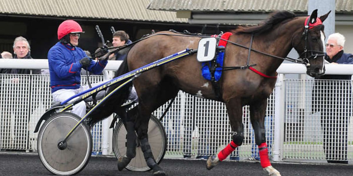 Quinté du vendredi 2 octobre 2026 à Vincennes: les pronostics