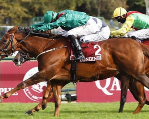 Quinté du jeudi 3 septembre 2026 à Longchamp: les pronostics