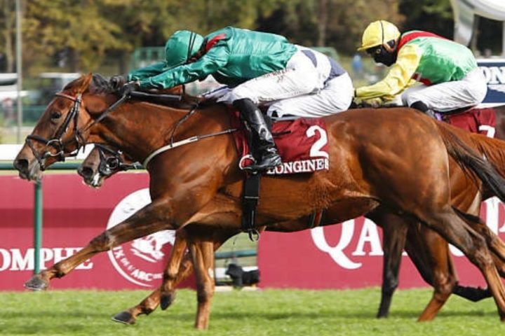 Quinté du jeudi 3 septembre 2026 à Longchamp: les pronostics