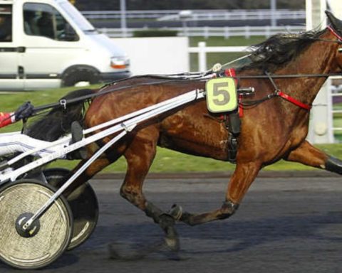Quinté du vendredi 4 septembre 2026 à Vincennes: les pronostics