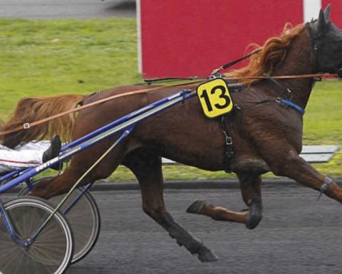 Quinté du samedi 5 septembre 2026 à Vincennes: les pronostics
