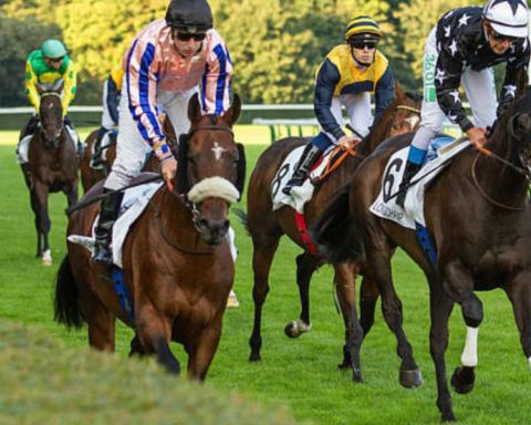 Quinté du dimanche 6 septembre 2026 à Longchamp: les pronostics