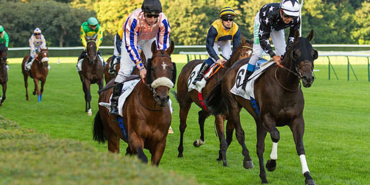 Quinté du dimanche 6 septembre 2026 à Longchamp: les pronostics