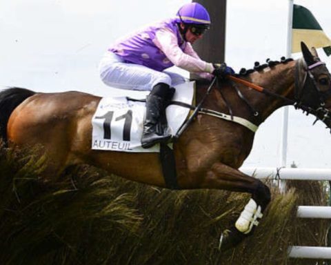 Quinté du mardi 8 septembre 2026 à Auteuil: les pronostics