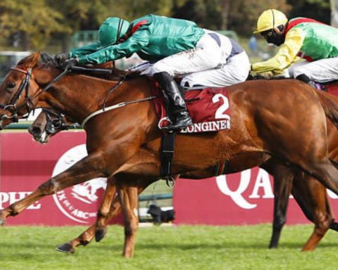 Quinté du jeudi 10 septembre 2026 à Longchamp: les pronostics
