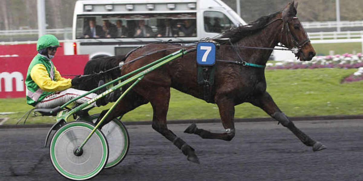 Quinté du vendredi 11 septembre 2026 à Vincennes: les pronostics