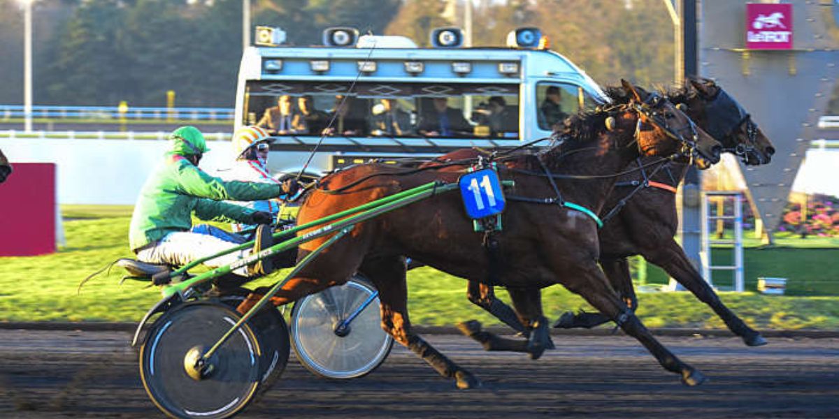 Quinté du samedi 12 septembre 2026 à Vincennes: les pronostics