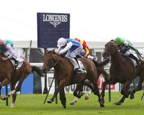 Quinté du dimanche 13 septembre 2026 à Longchamp: les pronostics