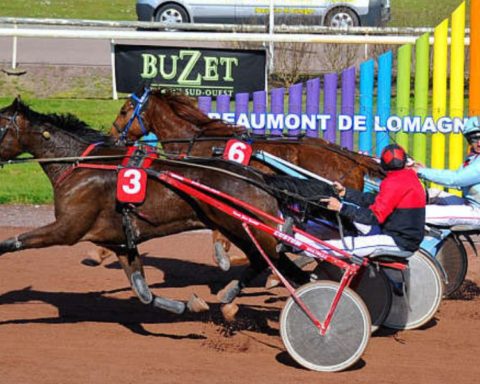 Quinté du lundi 14 septembre 2026 à Beaumont: les pronostics