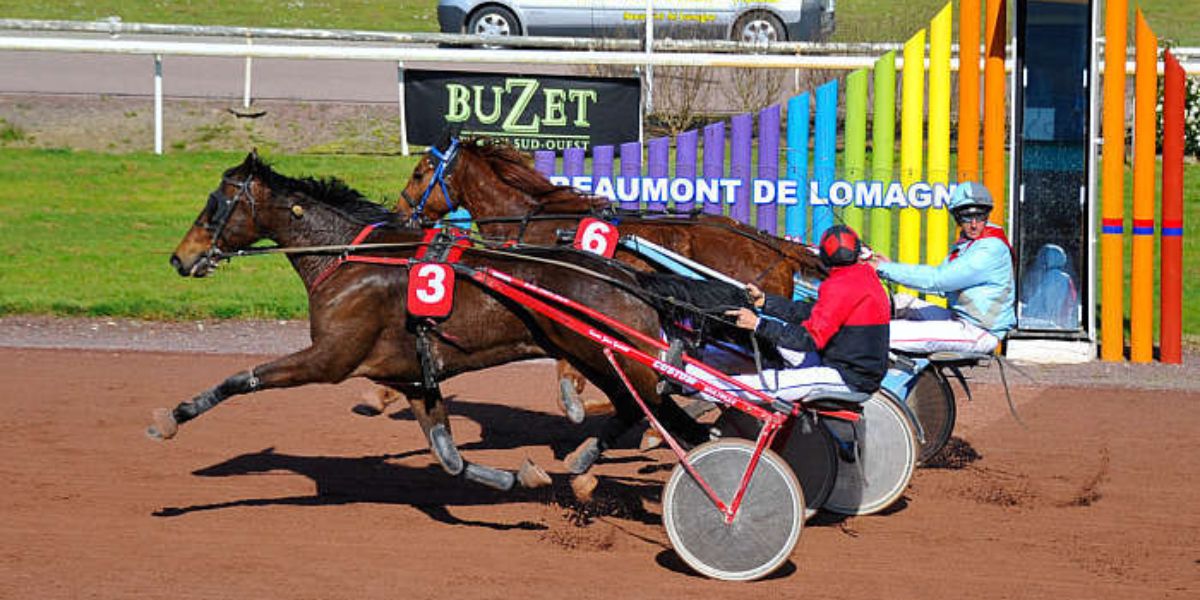 Quinté du lundi 14 septembre 2026 à Beaumont: les pronostics