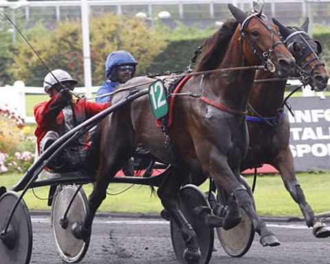Quinté du jeudi 17 septembre 2026 à Vincennes: les pronostics