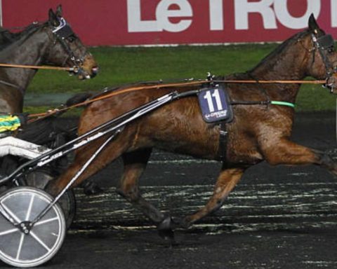 Quinté du vendredi 18 septembre 2026 à Vincennes: les pronostics