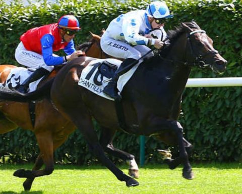 Quinté du samedi 19 septembre 2026 à Chantilly: les pronostics
