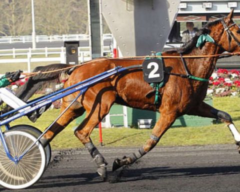 Quinté du dimanche 20 septembre 2026 à Vincennes: les pronostics