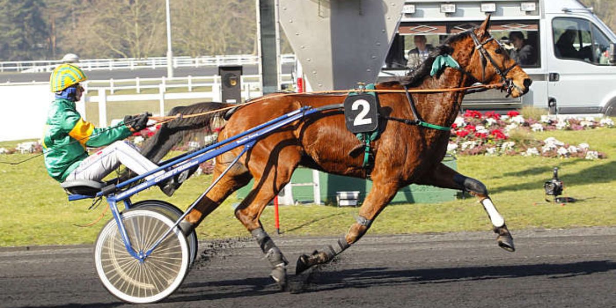 Quinté du dimanche 20 septembre 2026 à Vincennes: les pronostics