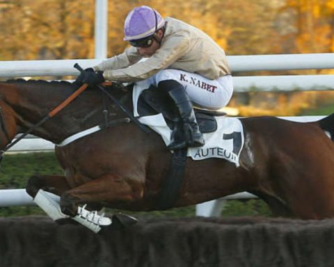 Quinté du mardi 22 septembre 2026 à Auteuil: les pronostics