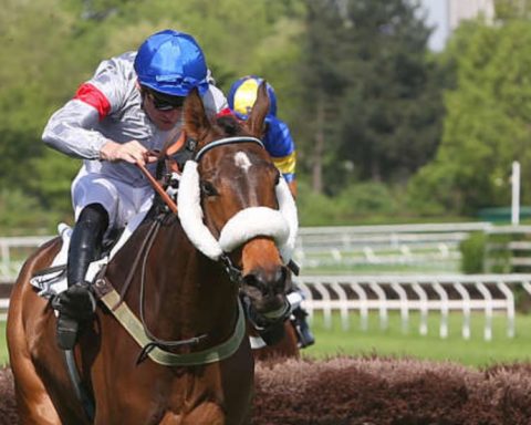 Quinté du samedi 26 septembre 2026 à Auteuil: les pronostics