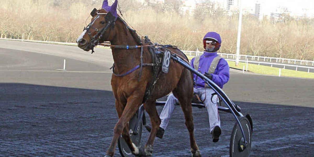Quinté du dimanche 27 septembre 2026 à Vincennes: les pronostics