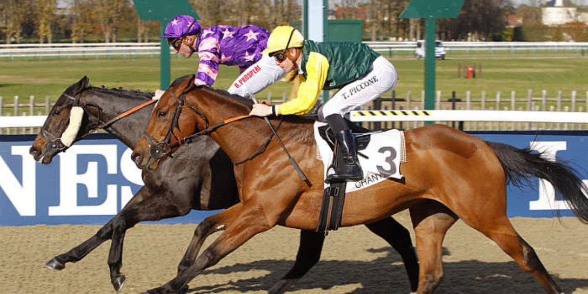 Quinté du mardi 29 septembre 2026 à Chantilly: les pronostics