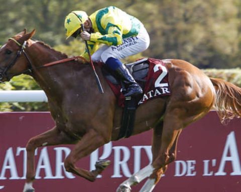 Quinté du dimanche 4 octobre 2026 à Longchamp: les pronostics
